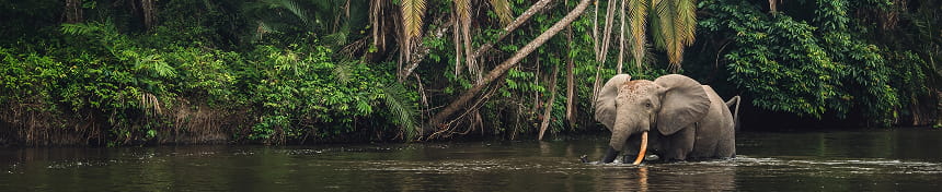 eSIM data plans for Congo - Brazzaville