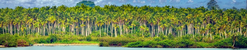 eSIM data plans for Côte d'Ivoire