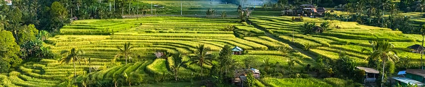 Planes de datos eSIM para Indonesia