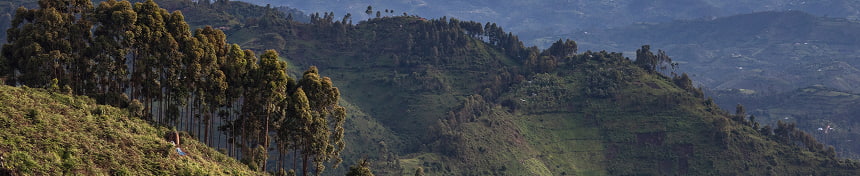 eSIM data plans for Rwanda